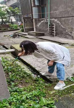 清理城中村垃圾 (3)