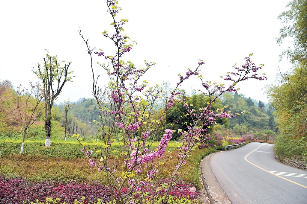 博汉路上的景观节点